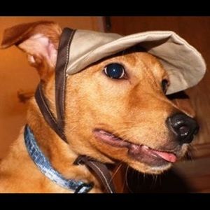 Pet caps and clothing
